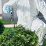 Cropped Image Of Pest Control Worker In Uniform Sp ETEVFUZ 150x150