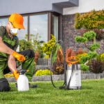 Landscaper Preparing To Perform Pest Control Treat U6QEC62 Scaled 1 150x150