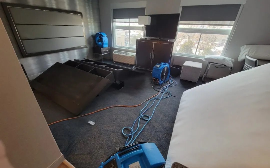 Commercial Bed Bug Treatment Charlotte, NC. Eco Thermal Bed Bug Exterminators Bed Bug Treatment Charlotte, NC.