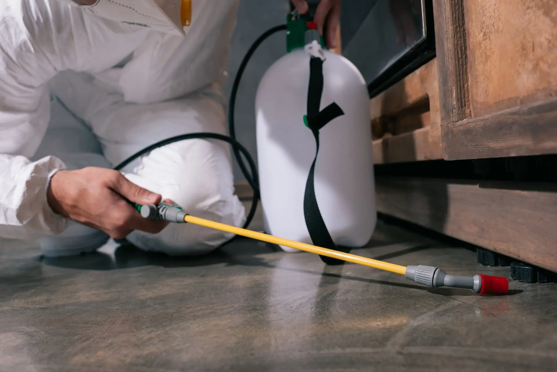 Bed Bug Spray Treatment Charlotte, NC. Residential Spray Treatment Charlotte, NC. Commercial Spray Treatment Charlotte, NC.