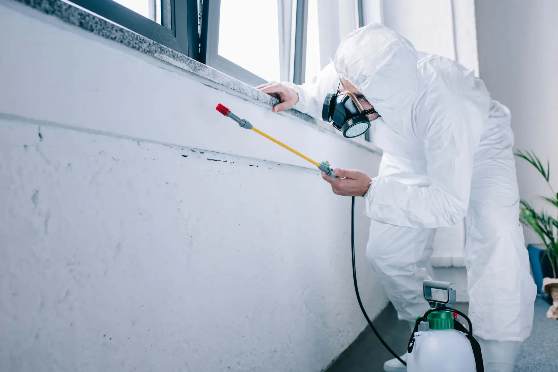 Bed Bug Exterminator Treatment Charlotte, NC. Bed Bug Exterminator Treatment Dilworth, NC. Bed Bug Exterminator Treatment Ballantyne, NC. Bed Bug Exterminator Treatment Highland Creek, NC.
