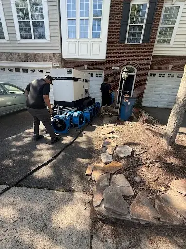 Residential Bed Bug Treatment Charlotte, NC. Eco Thermal Bed Bug Exterminators Bed Bug Treatment Charlotte, NC.