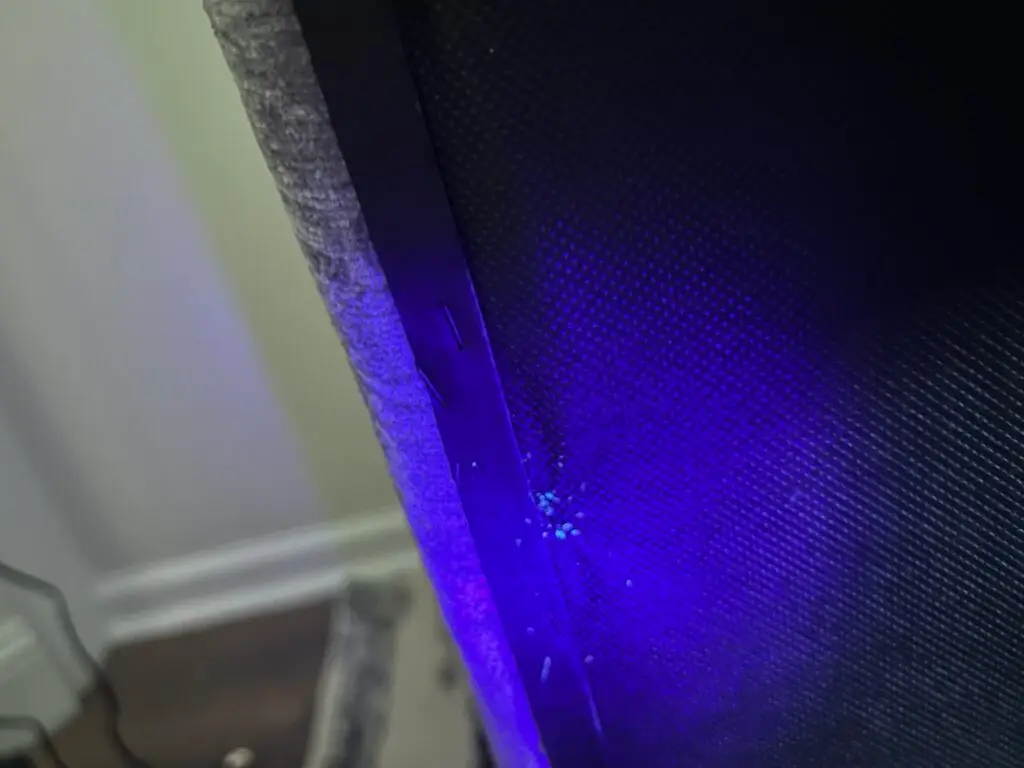 Bed Bug Inspection. Bed Bug on bottom of mattress. Bed Bug Inspection services near me. Eco Thermal Bed Bug Exterminators near me.