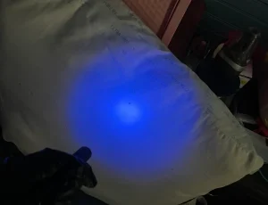 Residential Bed Bug Inspection. Bed Bug Inspection near me.